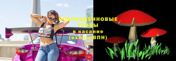 ECSTASY Белокуриха