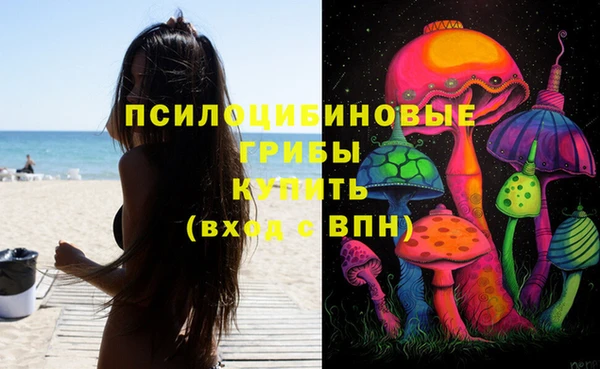 ECSTASY Белокуриха