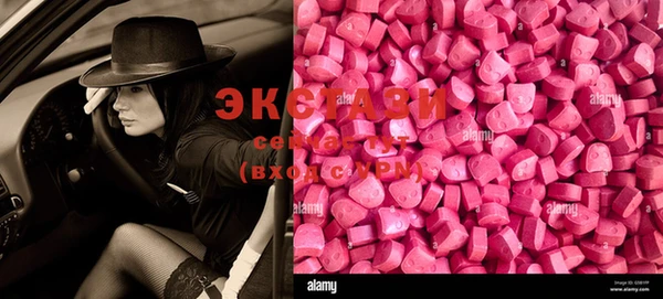 ECSTASY Белокуриха