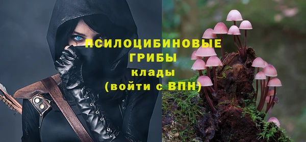 ECSTASY Белокуриха