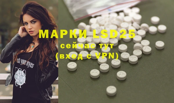 ECSTASY Белокуриха