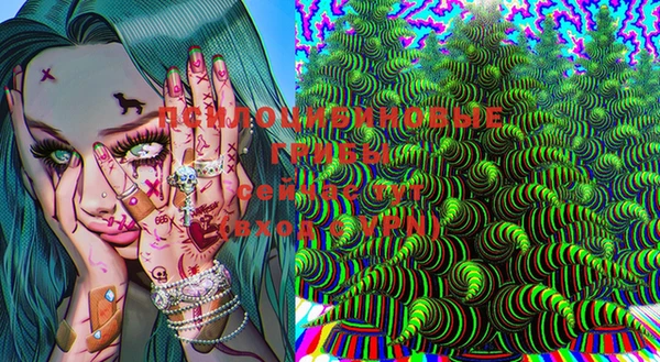 ECSTASY Белокуриха