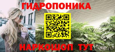 прущие грибы Волгодонск