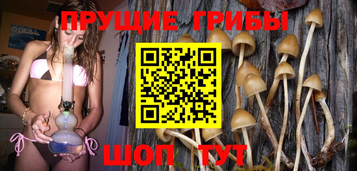 Галлюциногенные грибы GOLDEN TEACHER Дагестанские Огни