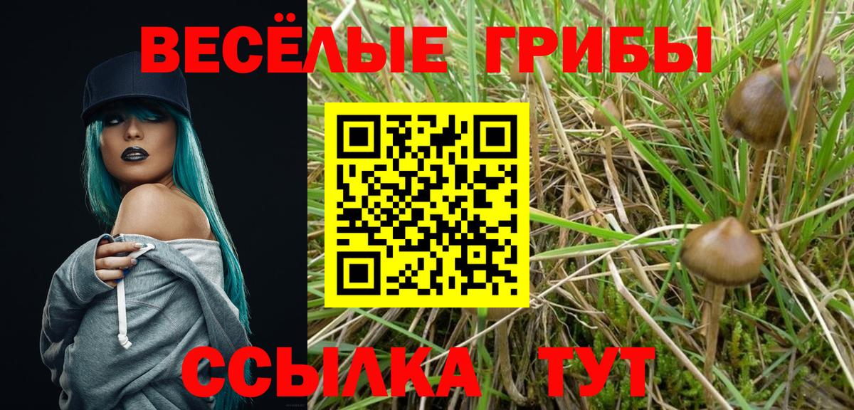 Меф кристаллы  Кокаин  Вход с VPN  ГАШИШ  Дагестанские Огни  Конопля  A PVP СК кристаллы 