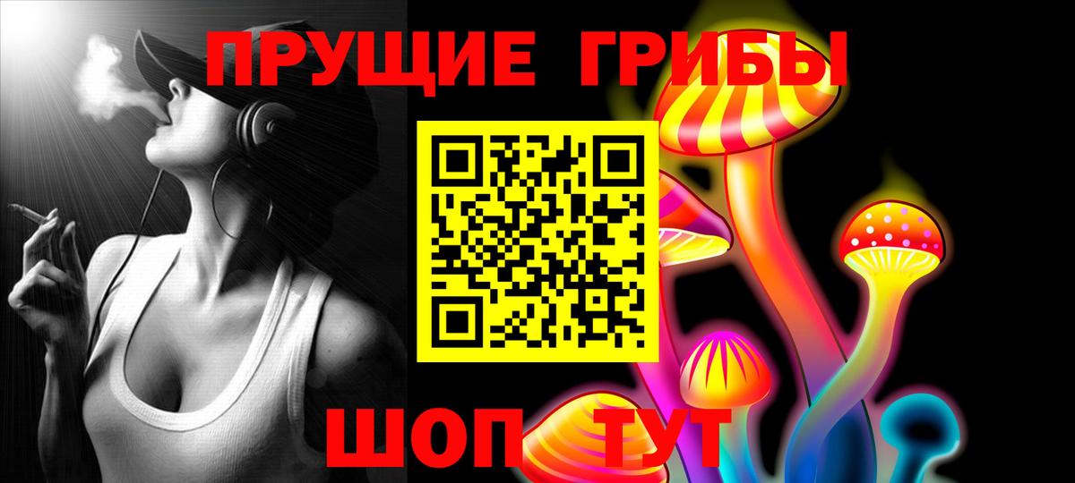 Галлюциногенные грибы GOLDEN TEACHER  Псилоцибиновые грибы прущие грибы  Дагестанские Огни 