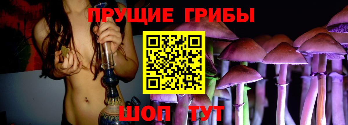 Псилоцибиновые грибы мицелий  как найти   Дагестанские Огни  Вход с VPN  Псилоцибиновые грибы мицелий 